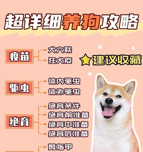 母狗产仔后多久适合绝育？（合适的时机可以减少健康风险）
