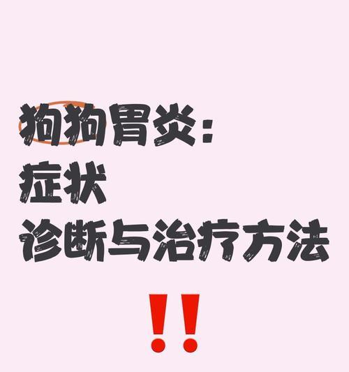 狗狗肠胃炎的饮食恢复时间分析（了解狗狗肠胃炎的饮食恢复周期，帮助你更好地照顾你的宠物）