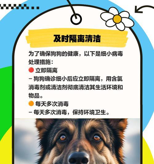 狗狗细小的治疗时间究竟需要多久？（了解狗狗细小的治疗过程和持续时间）