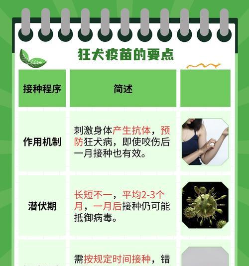 狗狗打完疫苗后多久可以洗澡？（疫苗接种后洗澡的最佳时机和注意事项）