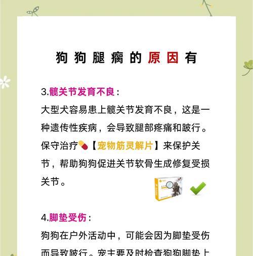 小狗腿摔瘸了，需要多久才能好？（探索小狗腿受伤后康复的时间和过程）
