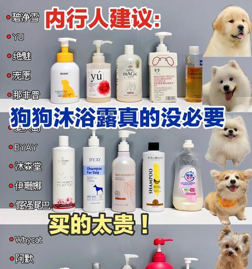 如何正确洗澡你买来的小狗（小狗洗澡的注意事项及最佳时机）