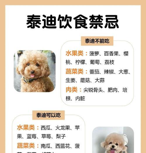 如何帮泰迪犬增肥？（解决泰迪太瘦的问题，让它恢复健康）