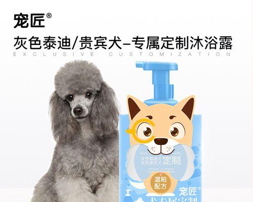 泰迪犬产前多久能洗澡？（泰迪犬产前洗澡的注意事项及时间安排）