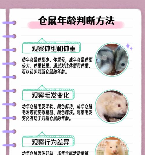 仓鼠的水需求量及脱水判断方法（了解仓鼠喝水量和识别脱水症状，保证宠物健康）