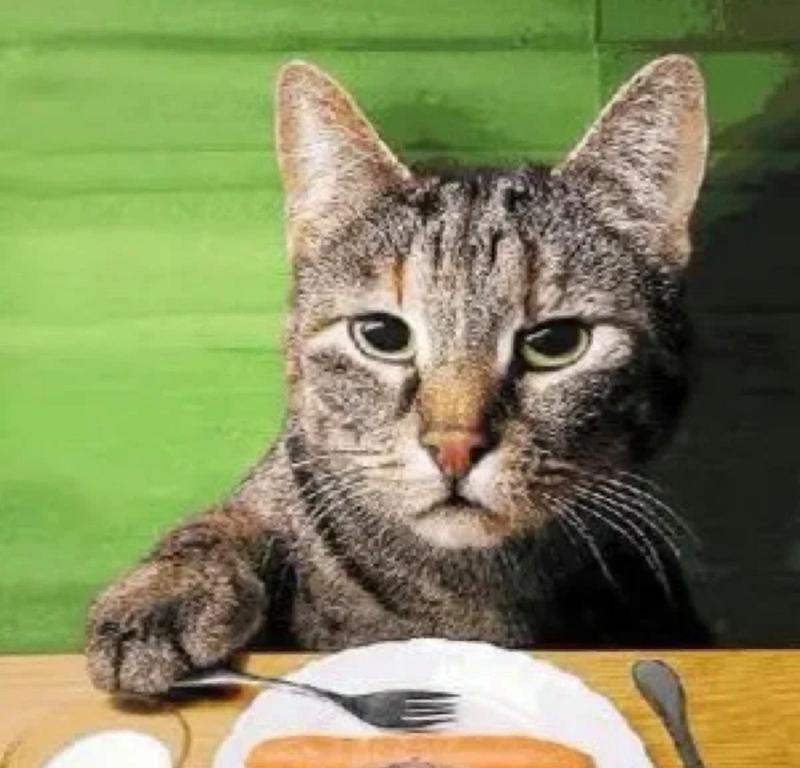 揭秘猫咪为何迷恋鱼肴？（探究猫咪对鱼的喜爱以及原因）