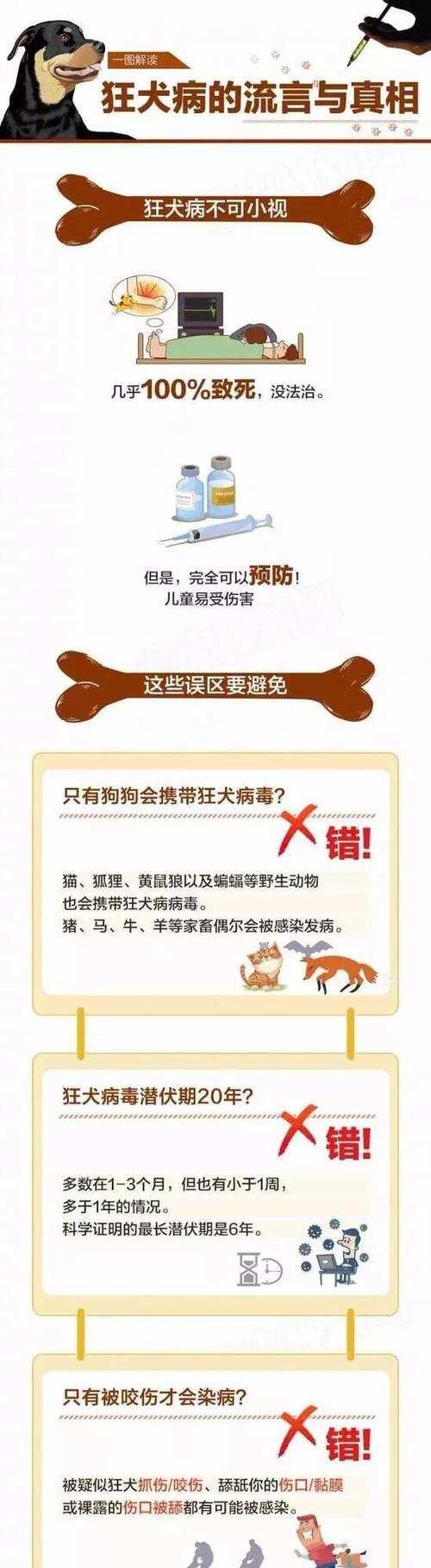 狗伤口愈合需要多久才能长出毛？（了解伤口愈合和毛发生长的时间表）