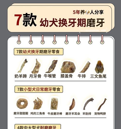 幼犬长牙的过程及注意事项（幼犬换牙周期、换牙症状、换牙保健方法及常见问题解答）