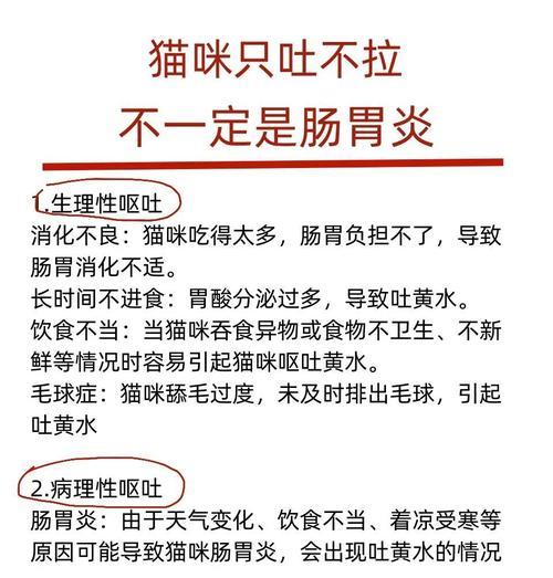 猫咪拉肚子呕吐的原因及处理方法（常见的猫咪拉肚子和呕吐的原因及处理方法）