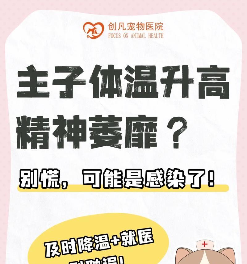 猫咪发烧（猫咪发烧康复需要时间，但正确护理可加速恢复）