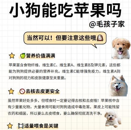 狗狗所需营养食物一览（为宠物狗提供健康饮食的重要性）