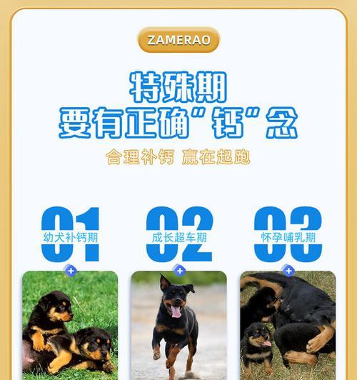 关于以成狗补钙需要多久停的研究（探讨狗狗补钙时间和方式，让您的宠物更健康）