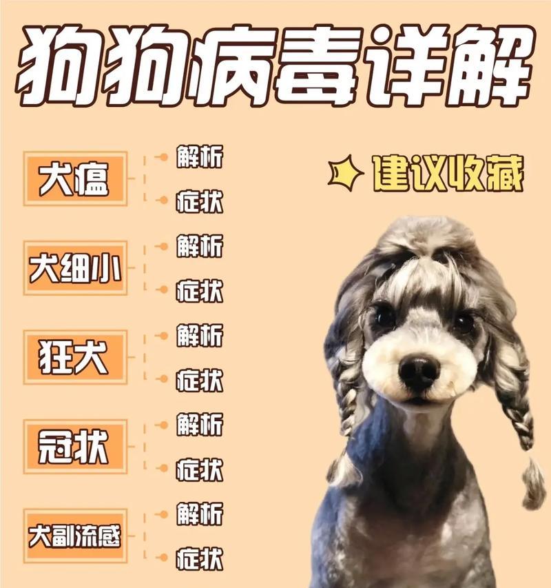 宠物狗狗打疫苗（为什么宠物狗狗需要打疫苗？如何确保狗狗身体健康？）