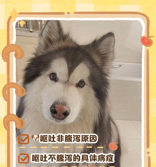 狗狗吃撑了腹泻多久？（解析狗狗吃撑引起的腹泻持续时间。）