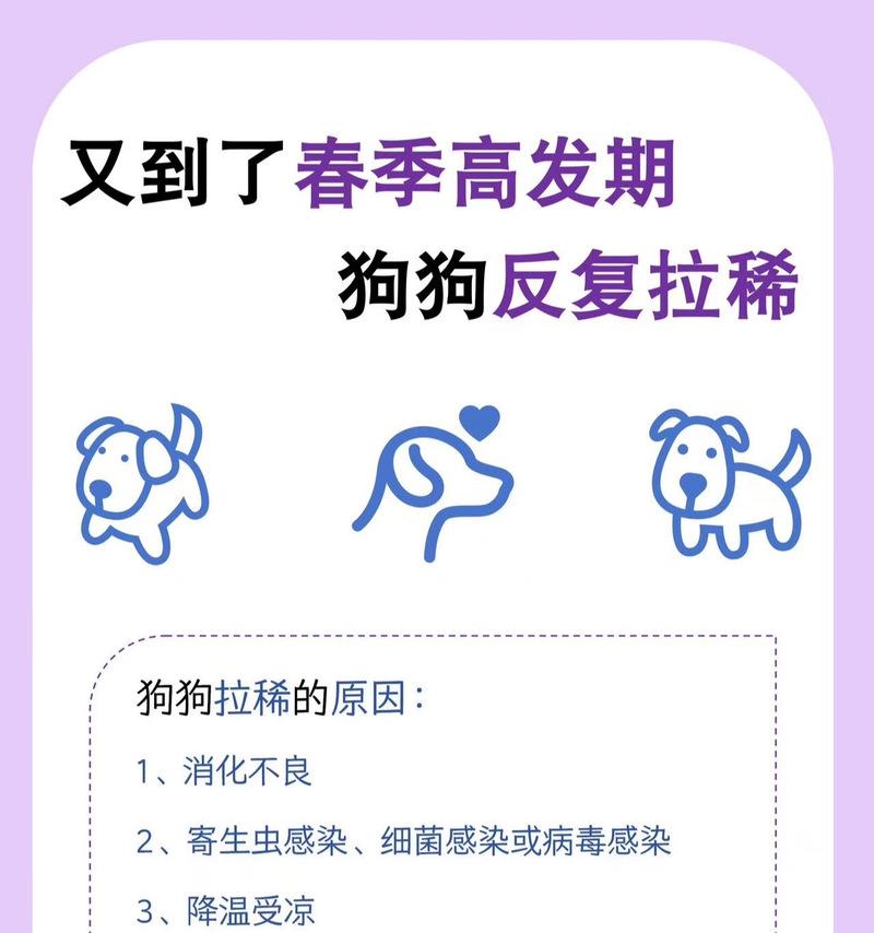狗狗拉稀的原因及解决方法（帮助狗狗摆脱拉稀困扰，恢复健康快乐生活）