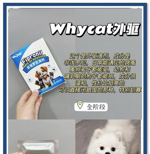 狗狗吃驱虫药多久见效？（了解狗狗驱虫药的使用时间及注意事项）