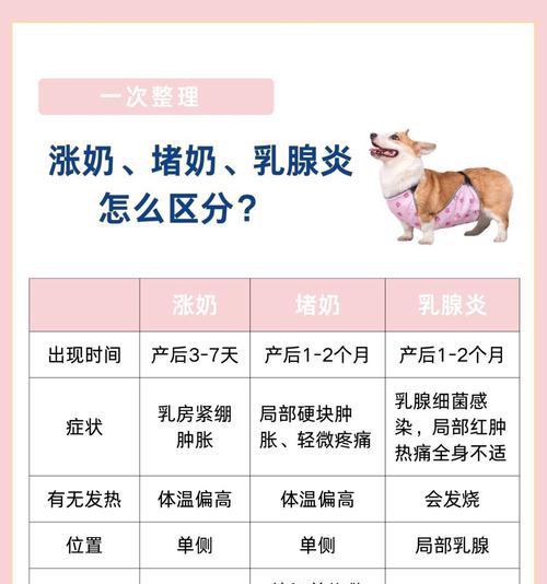狗狗怀孕期间涨奶的时间和变化（了解狗狗怀孕期间乳房的变化和需要注意的事项）