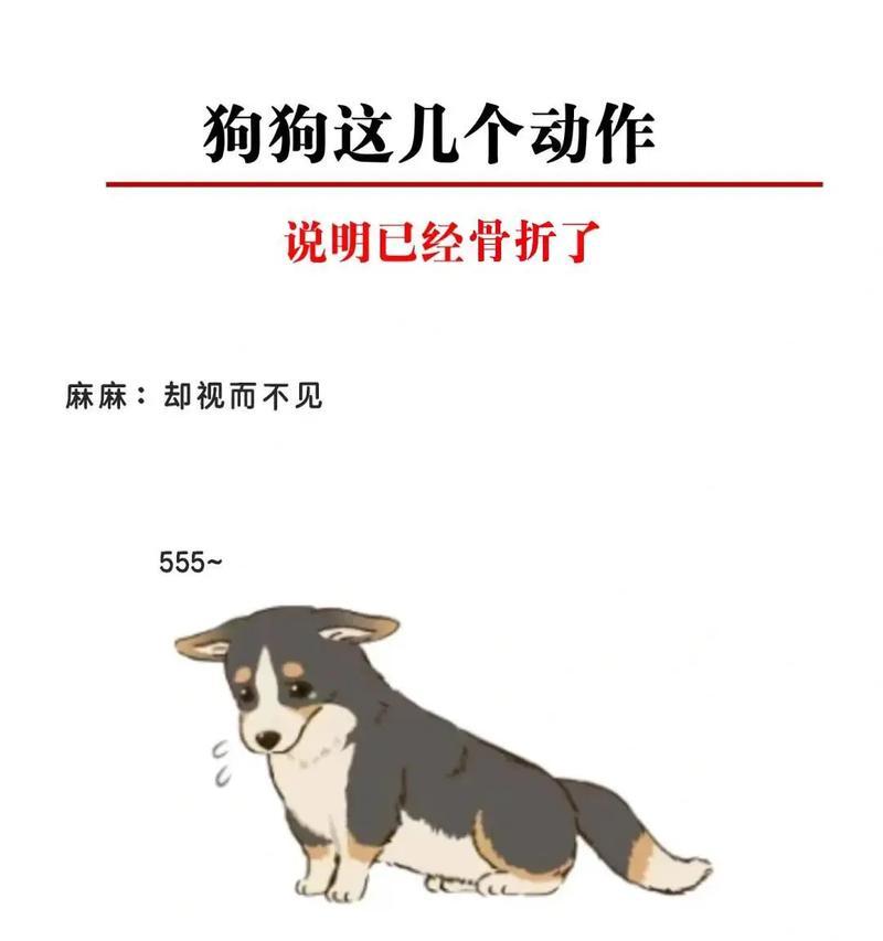 狗腿骨折的自愈时间（探究狗腿骨折恢复所需的时间和关键因素）