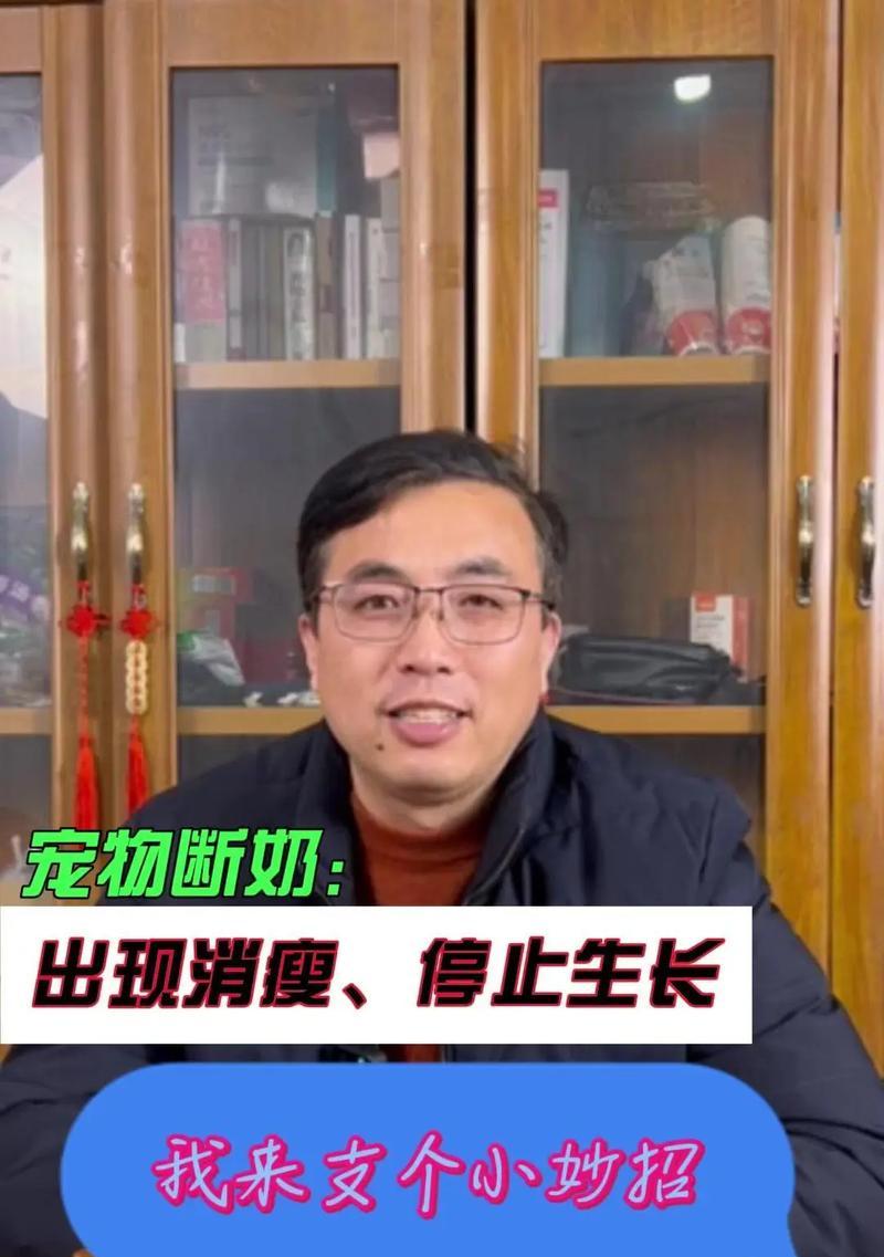 幼猫断奶的最佳时机与方法（为幼猫提供健康断奶过程的关键）