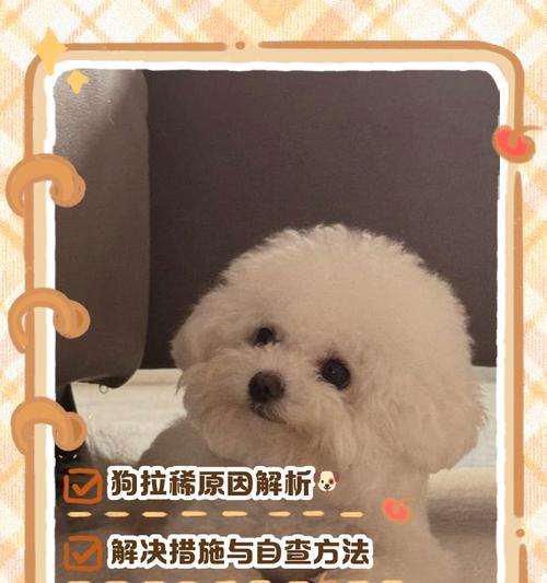 狗拉稀但有精神，要不要紧？（健康之源与生活质量的平衡）