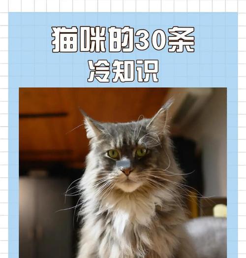 小猫听力发育周期及关键时期（探索小猫听力的发育阶段和关键时刻）