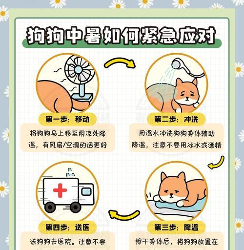 狗狗中暑后能站起来需要多长时间？（探究狗狗中暑后恢复的时间与关键因素）