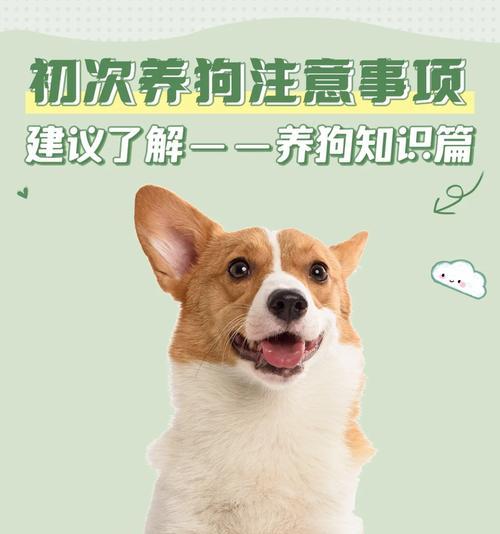 养狗必备知识（从选狗到日常护理，掌握这些关键知识，让您和新成员愉快相处）
