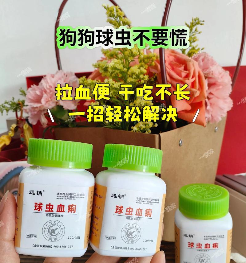 小狗拉稀带血怎么办？（如何处理小狗拉稀带血的情况，保证宠物健康）