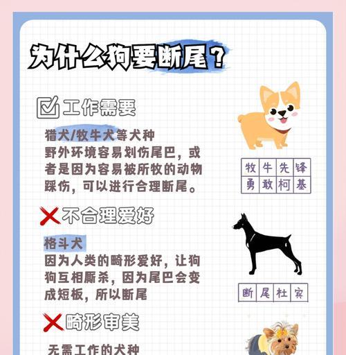 泰迪犬断尾（探究泰迪犬断尾的实质好处和利益）