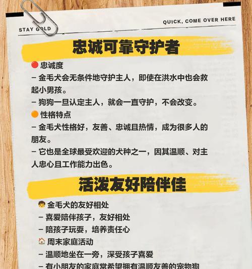 如何纠正金毛爱扑人坏习惯（掌握正确方法，让金毛成为友善的伴侣）