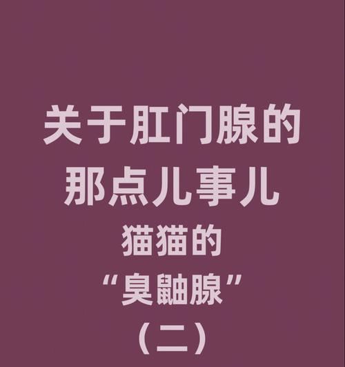 猫咪肛门腺是什么？挤掉还是不挤掉？（了解猫咪肛门腺的功能和挤掉的必要性）