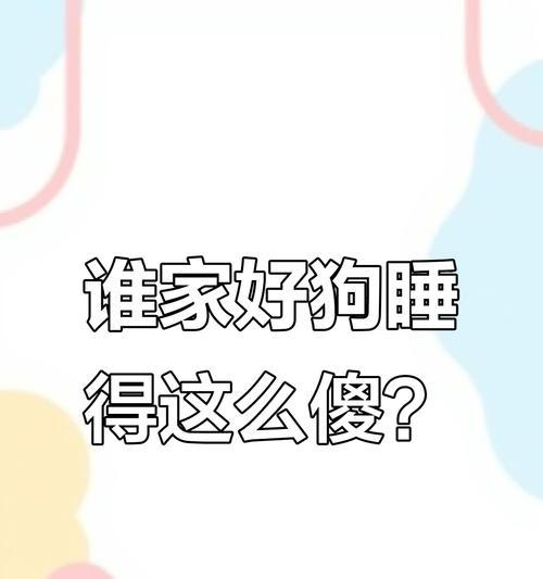 四个月金毛的睡眠需求及注意事项（金毛睡眠习惯与如何帮助其建立良好睡眠规律）