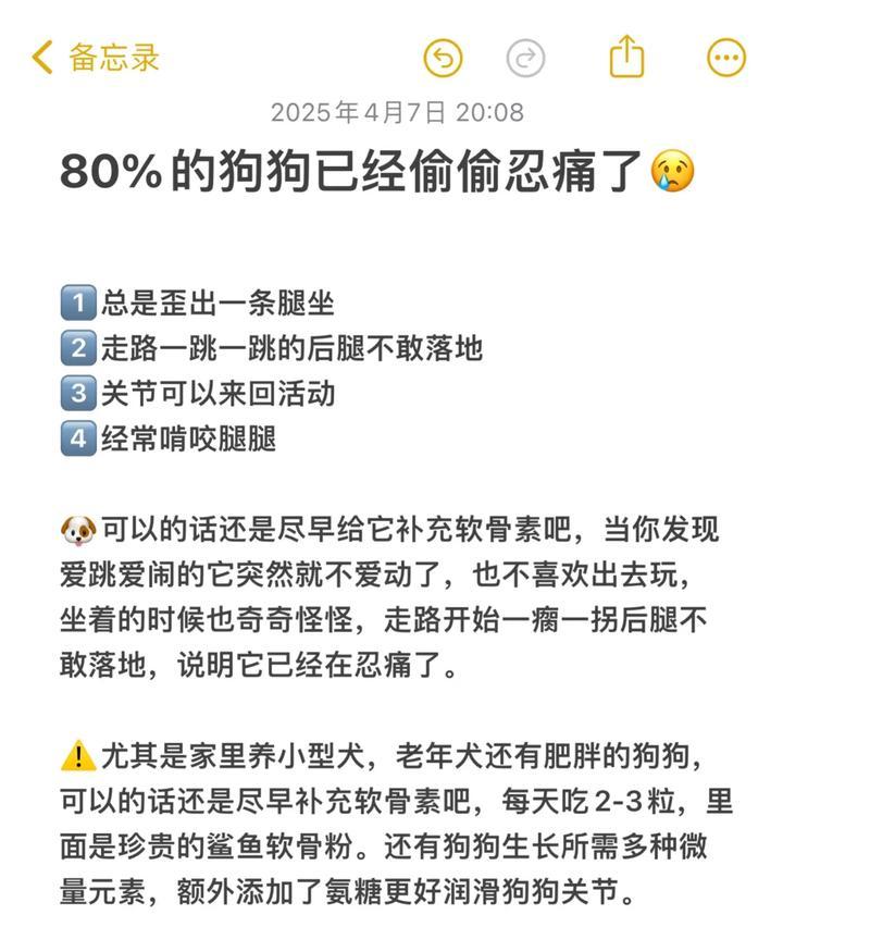 新手养狗手册（宠物狗饮食指南，为您解答狗狗饮食问题）