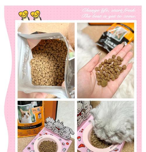 揭秘猫咪消化系统（猫咪排便时间的奥秘及影响因素解析）