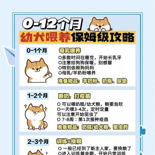 幼犬养护指南（0-8个月的幼犬如何饲养？）