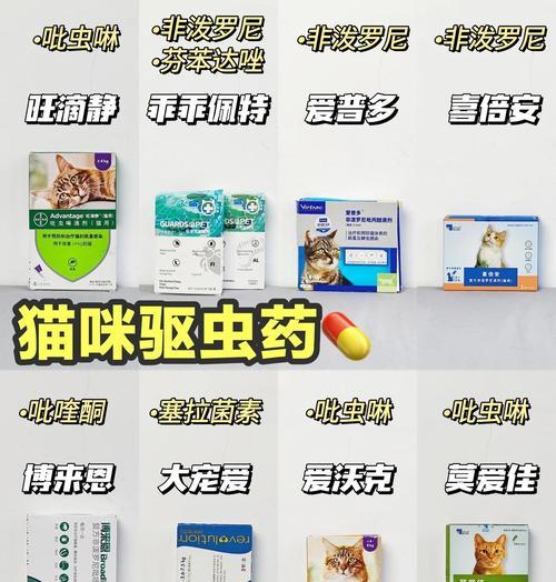 猫服用驱虫药后的恢复时间及注意事项（掌握猫咪驱虫药的恢复时间，做好护理工作）