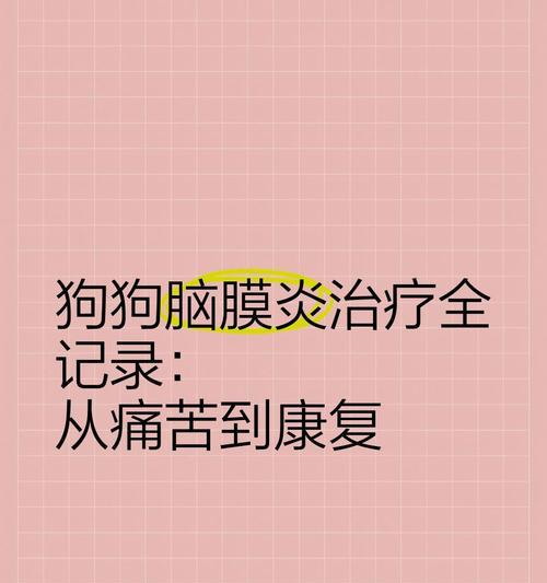 狗狗脑炎的生存期限（探寻狗狗脑炎的关键因素及预后）