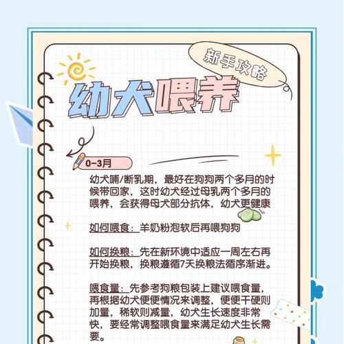 幼犬攻略（分享帮助小狗顺利度过幼儿期的关键技巧）