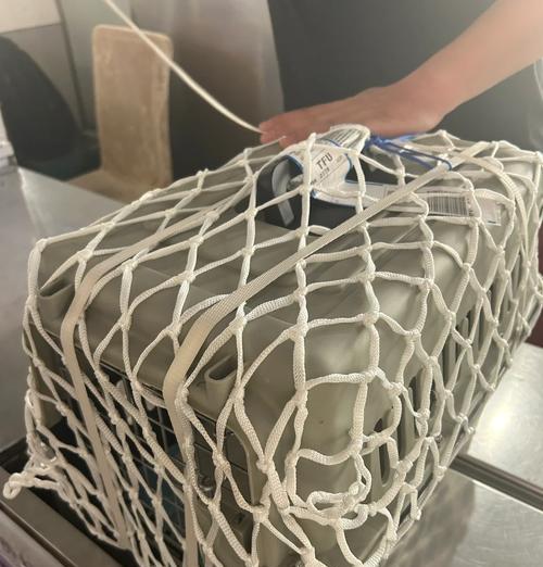 狗狗空运费用及相关信息解析（了解狗狗空运费用和如何节省成本的关键）