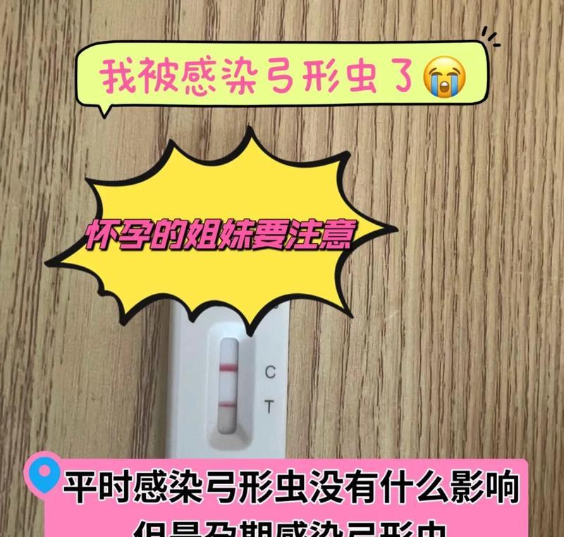 怀孕时养狗不会感染弓形虫的5个小妙招（教你如何保护怀孕期间的爱犬和宝宝安全）