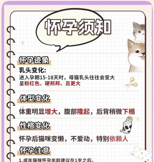 母猫刨腹产的拆线时机及注意事项（了解母猫刨腹产后的恢复过程和拆线时间，让宝贝更安全健康）
