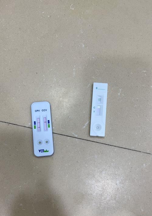 狗狗细小的康复之路（探索狗狗细小恢复的时间和方法）