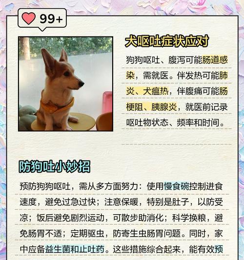 幼犬吃完驱虫药需要多久才会吐出药物？