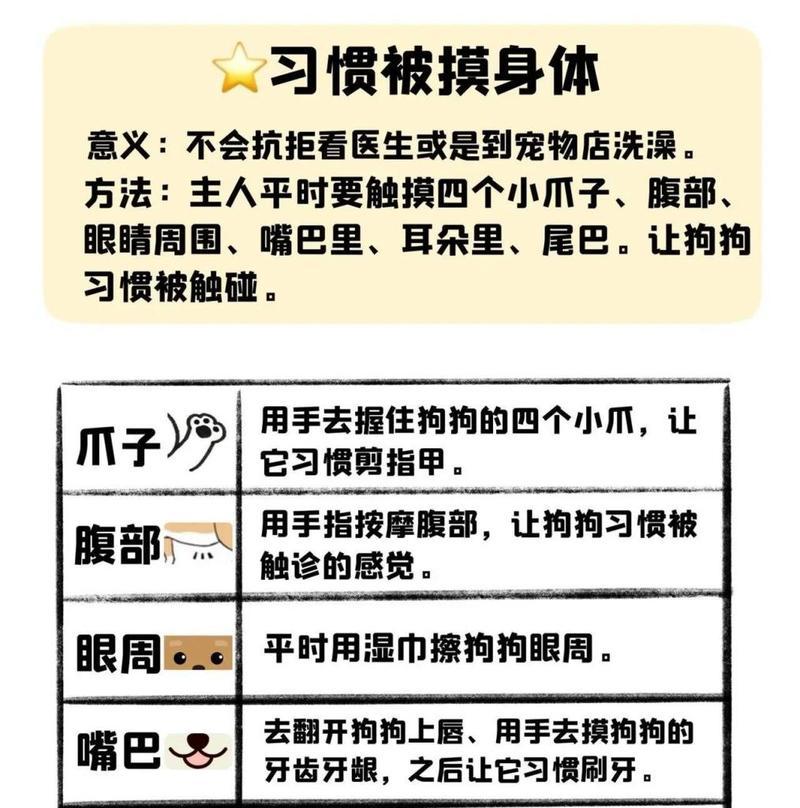 狗狗如何学会定点排便（培养宠物狗的排便习惯，提升家居清洁与环境卫生）
