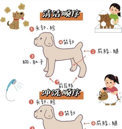 狗疫苗注射后洗澡的最佳时间（科学指导下，如何掌握宠物狗洗澡时机）
