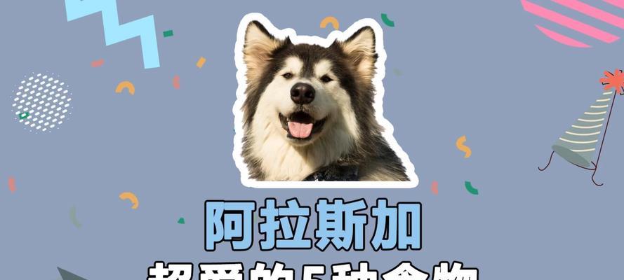 如何正确照顾阿拉斯加犬的饮食需求（阿拉斯加2个半月需要的狗粮量及饮食规律）