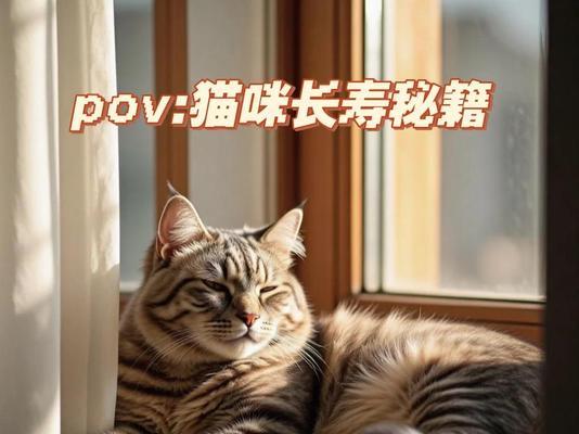 布偶猫的寿命有多长？（探索布偶猫的长寿之道）
