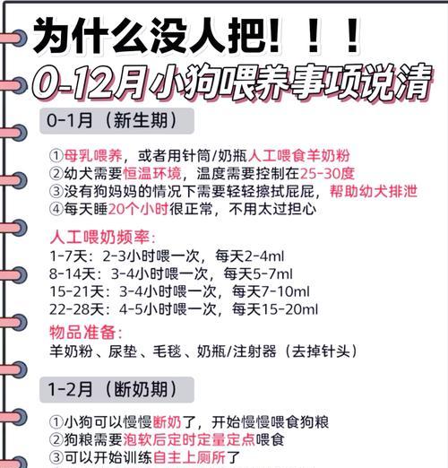 狗狗吃饱后多久可以散步？（探讨狗狗饮食与运动之间的最佳时机）