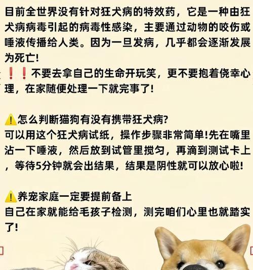 猫咪和狗狗能吃香菜吗？（香菜对猫狗的食用影响、适量食用的注意事项）