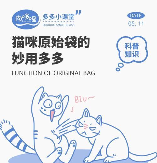揭开猫的神秘面纱（探索猫的秘密生活）